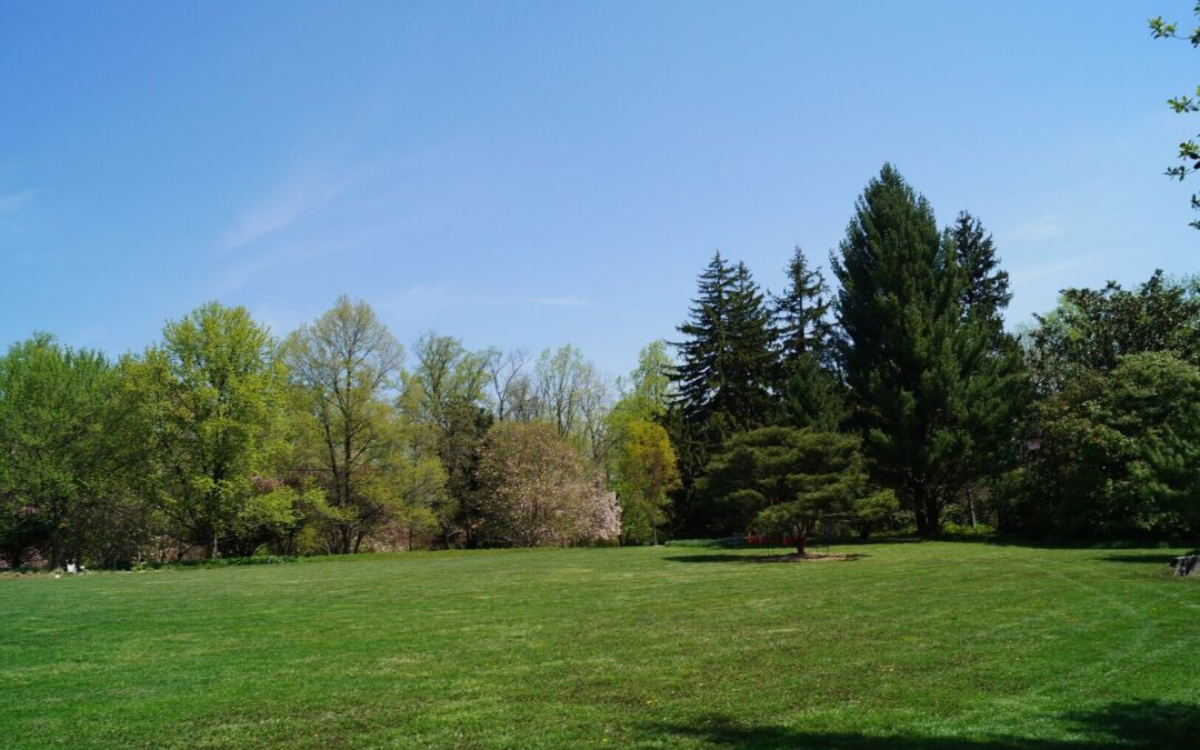 Post 12 : Lorem Ipsum Dummy Text